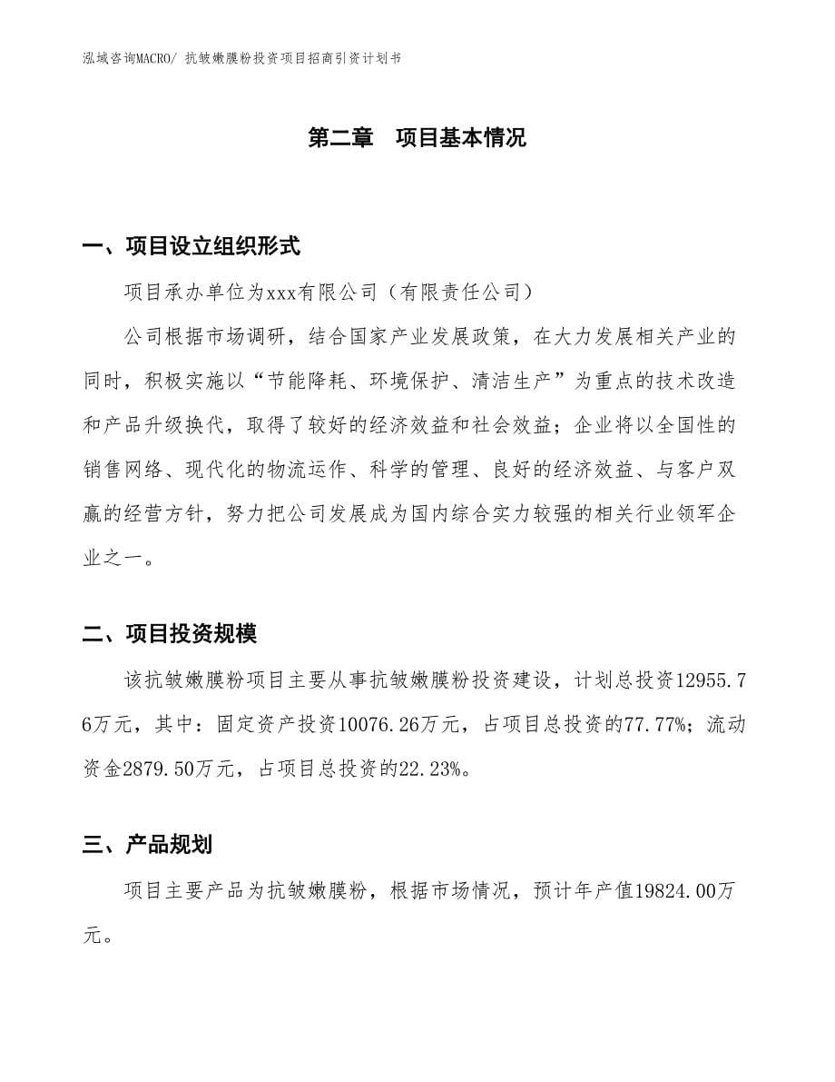 抗皱嫩膜粉投资项目招商引资计划书_第5页