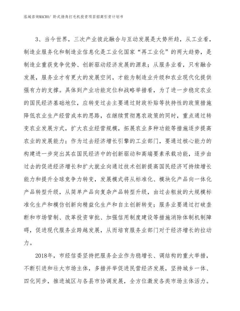 卧式扬角打毛机投资项目招商引资计划书_第5页