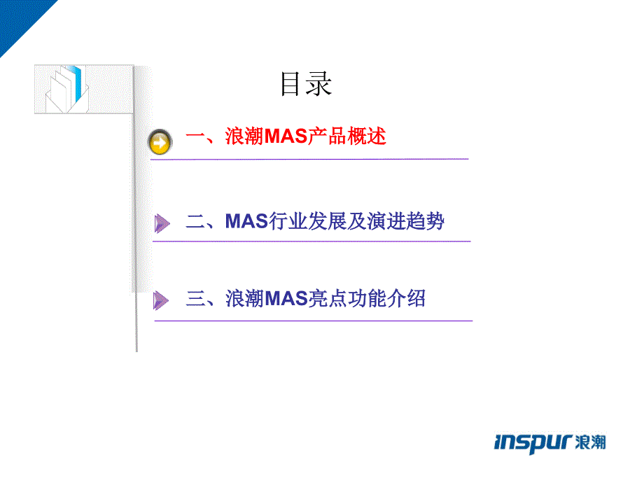 mas产品白皮书_第2页