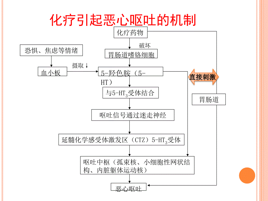 肿瘤化学治疗的毒副作用及防治课件_第4页