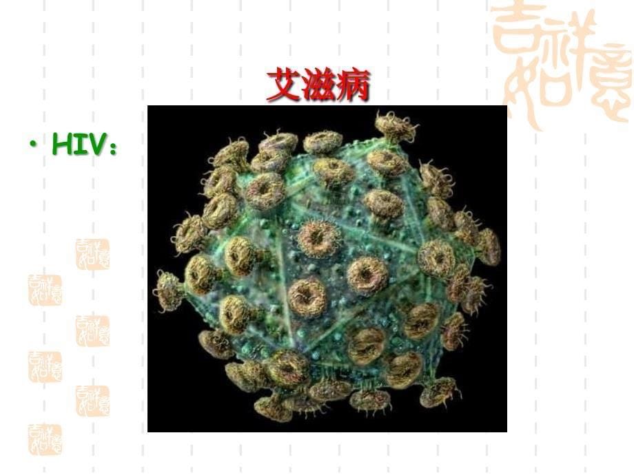 【生物】2.4-免疫调节-课件1(人教版必修3)_第5页