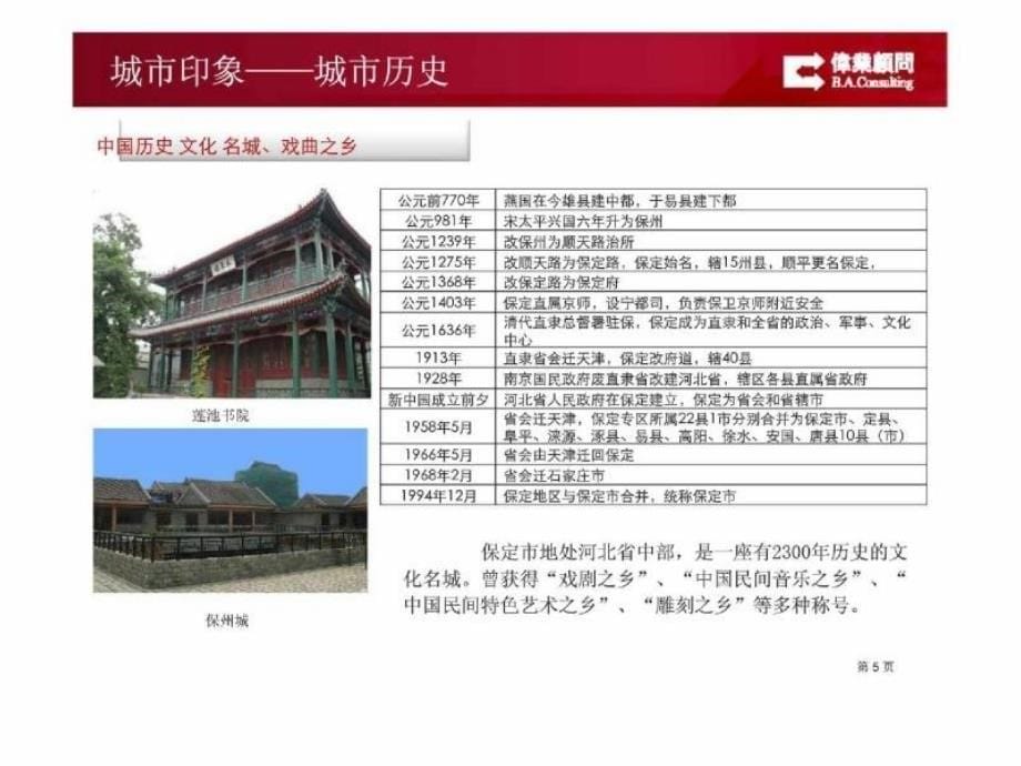 2011年河北保定项目市场前景分析研究报告_第5页