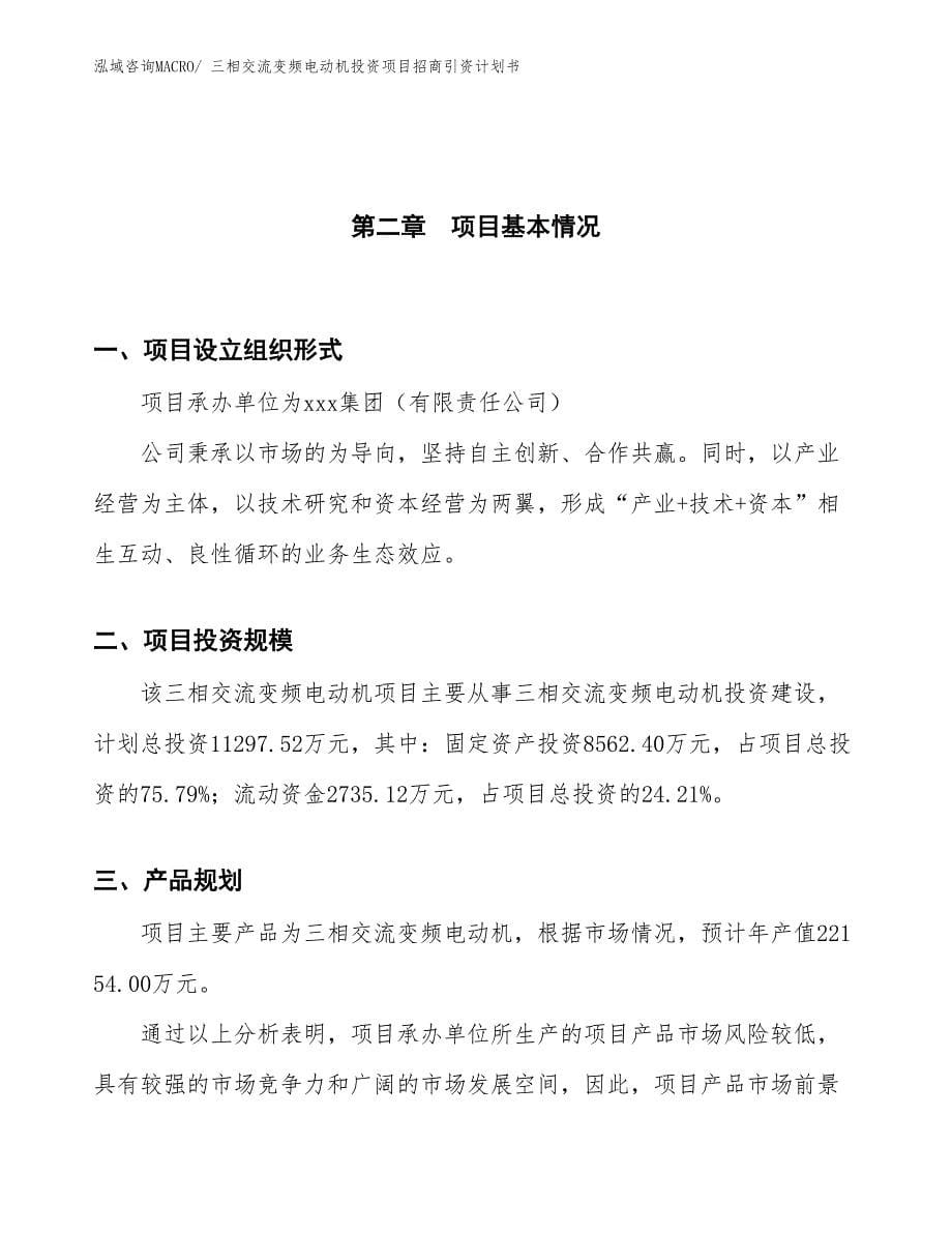 三相交流变频电动机投资项目招商引资计划书_第5页