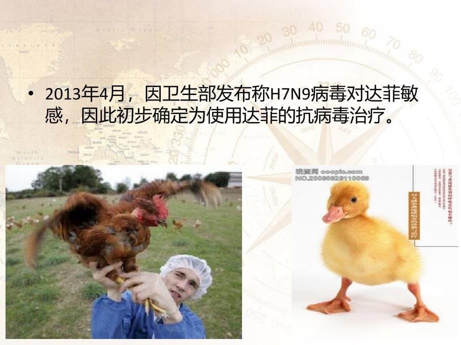 百善社区卫生服务中心禽流感h7n9知识培训_第5页