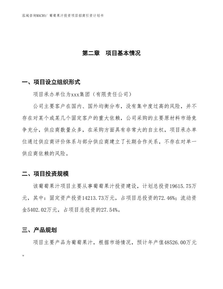 葡萄果汁投资项目招商引资计划书_第5页