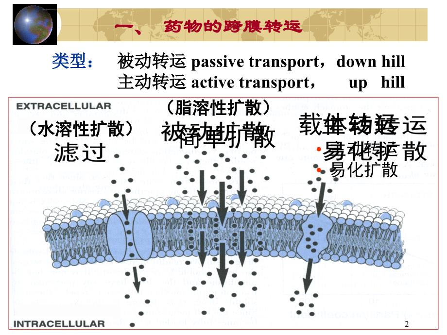 药动学（护理学）课件_第2页