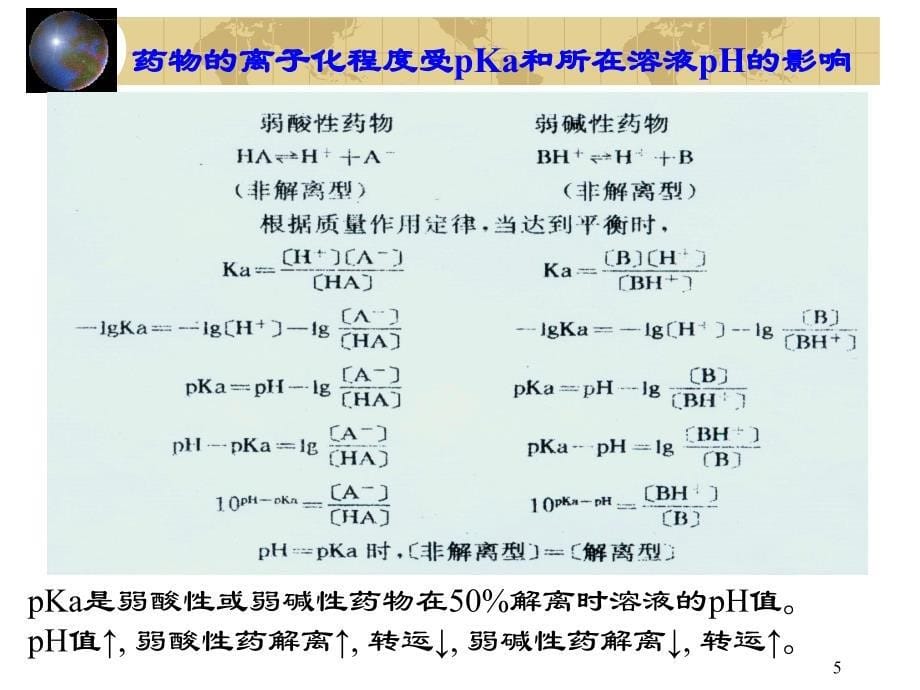 药动学（护理学）课件_第5页