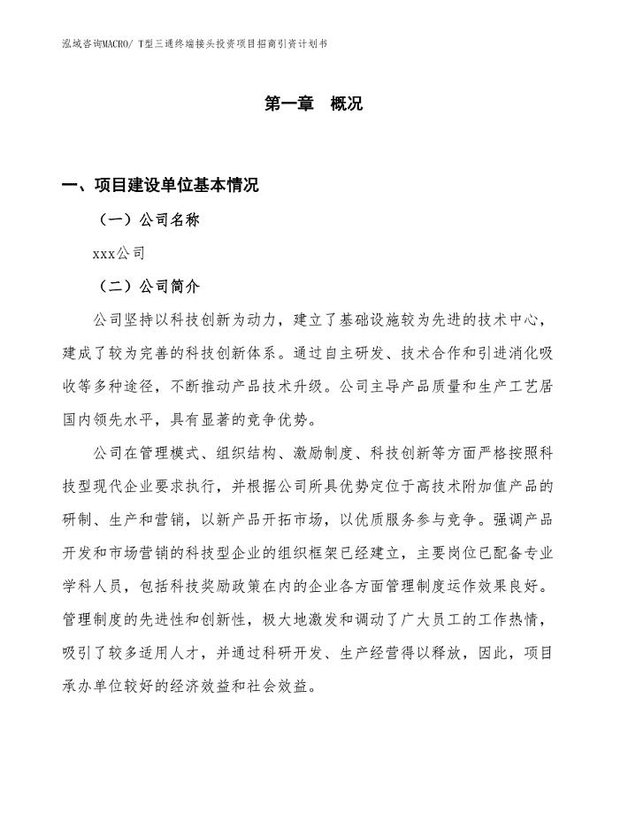 T型三通终端接头投资项目招商引资计划书