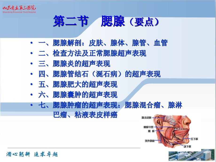 浅表器官涎腺甲状腺甲状旁腺超声课件_第2页