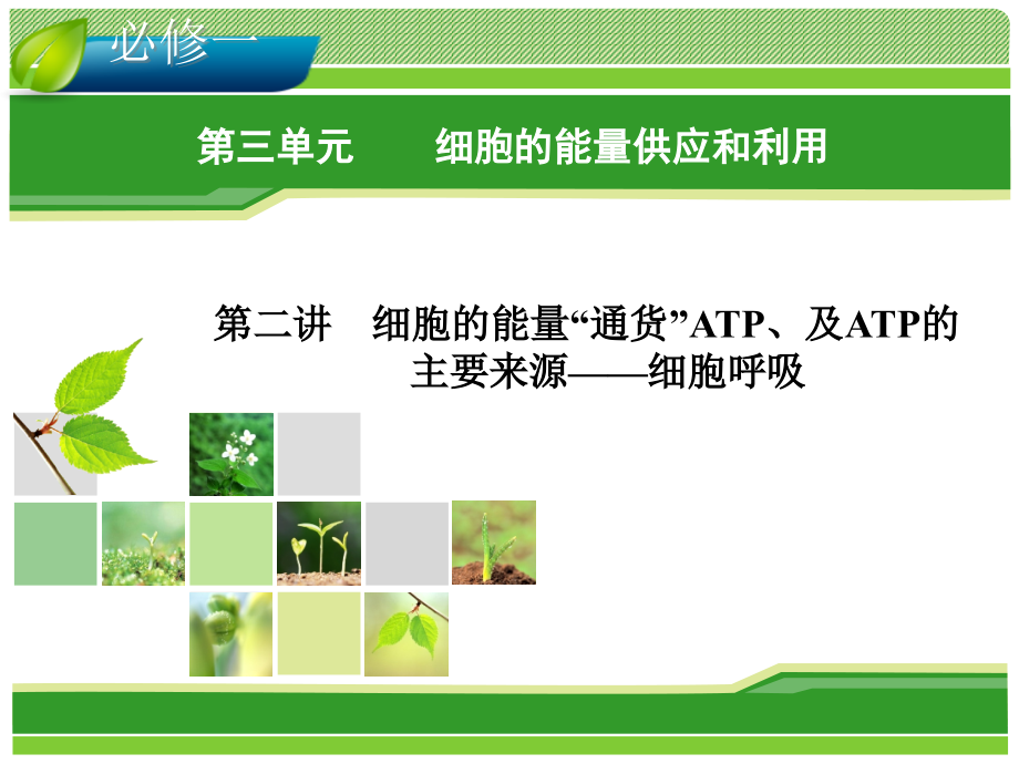 2014届高考生物一轮指导课件3.2atp和细胞呼吸-必修1_第1页