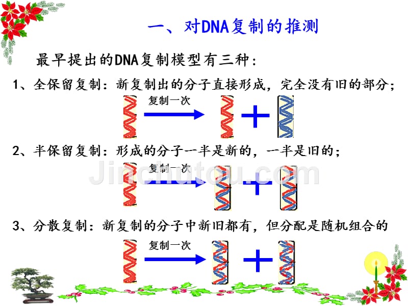 高中生物必修二3.3--dna分子的复制ppt课件_第2页