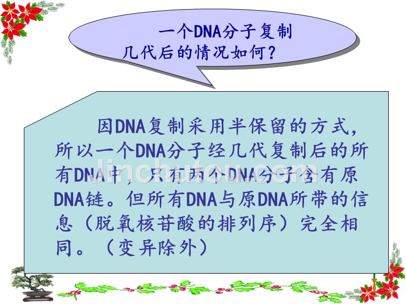 高中生物必修二3.3--dna分子的复制ppt课件_第5页