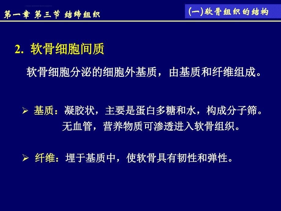 结缔组织软骨和骨_第5页