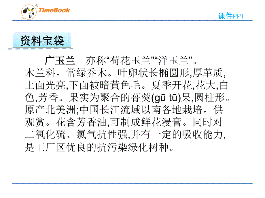 2016苏教版六年级下册18广玉兰.ppt_第2页