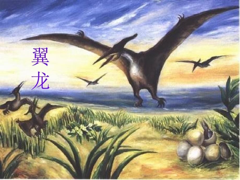 31.飞向蓝天的恐龙（上课用）.ppt_第5页