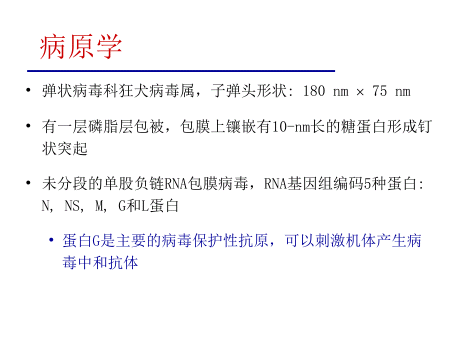 范全院讲课狂犬病培训教材刘东兴2010_第4页