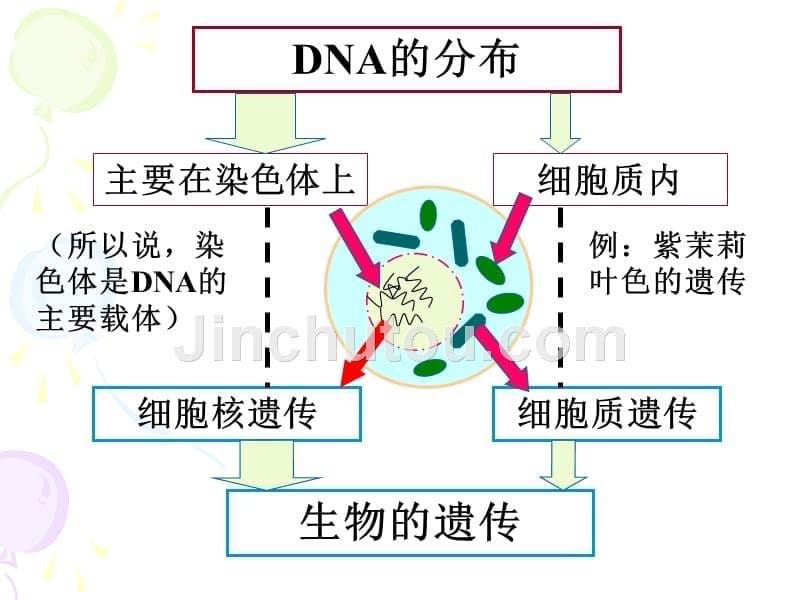 高中生物必修2《dna是主要的遗传物质》课件1_第5页
