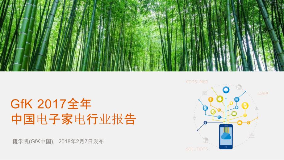 2017年中国电子家电（智能家电）行业研究报告_第1页