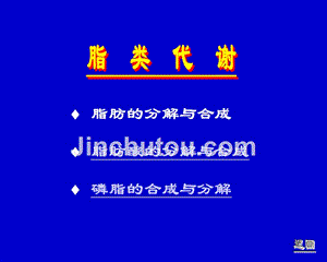 2017四川农业大学生物化学854考研脂代谢_课件