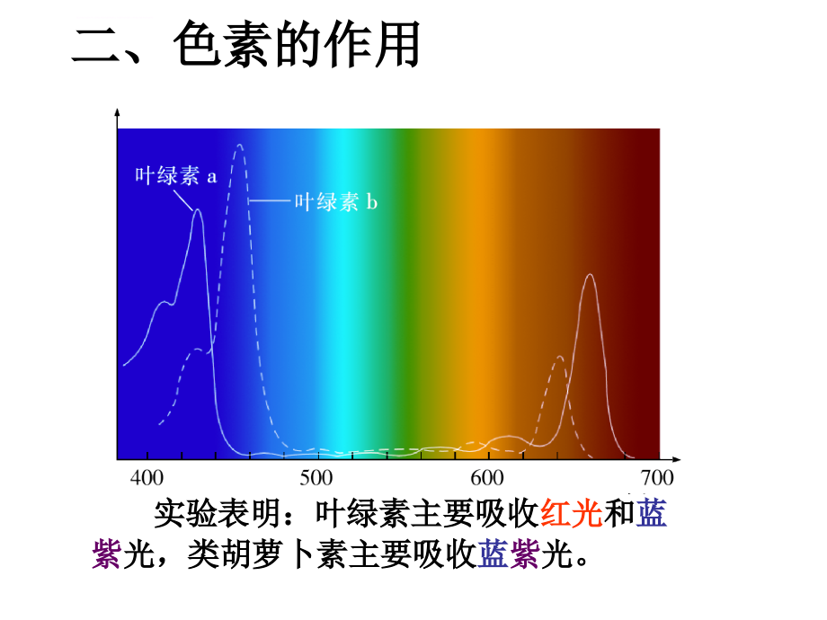 【生物】5.4-能量之源---光与光合作用-课件1(人教版必修1)_第4页