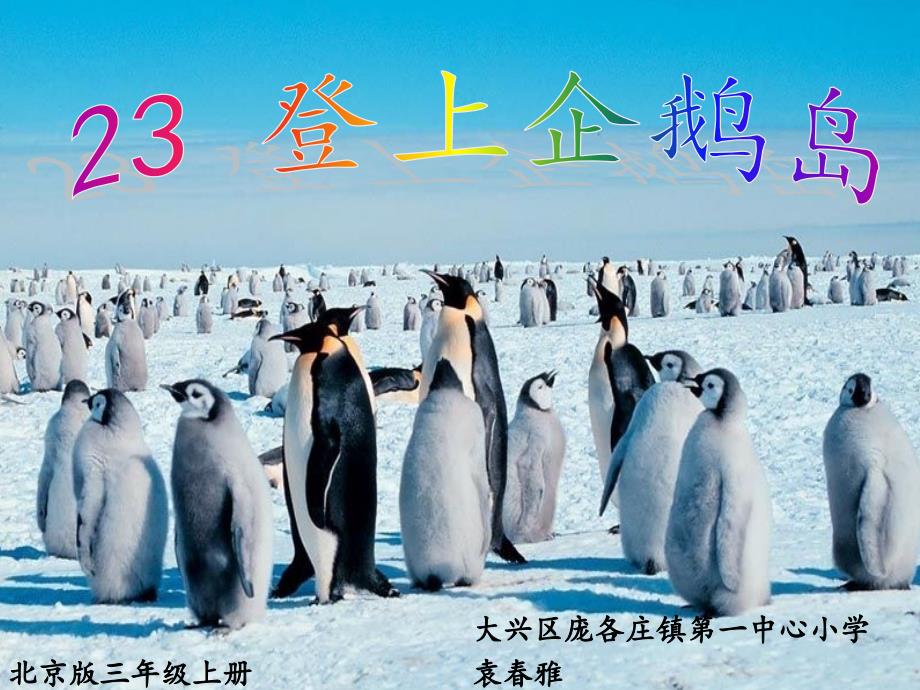 23、登上企鹅岛(第二课时)_第1页