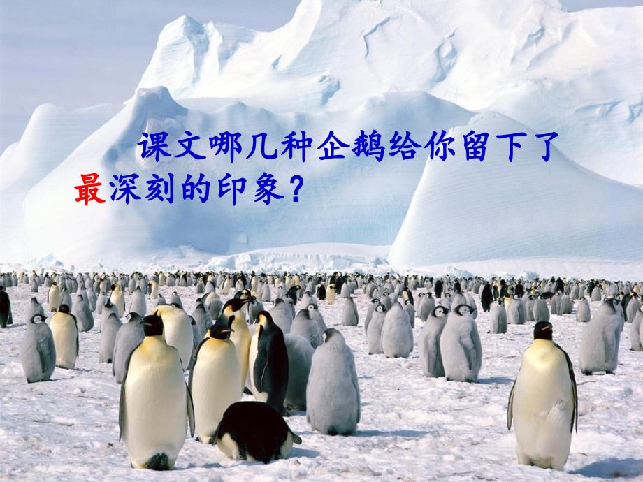 23、登上企鹅岛(第二课时)_第4页