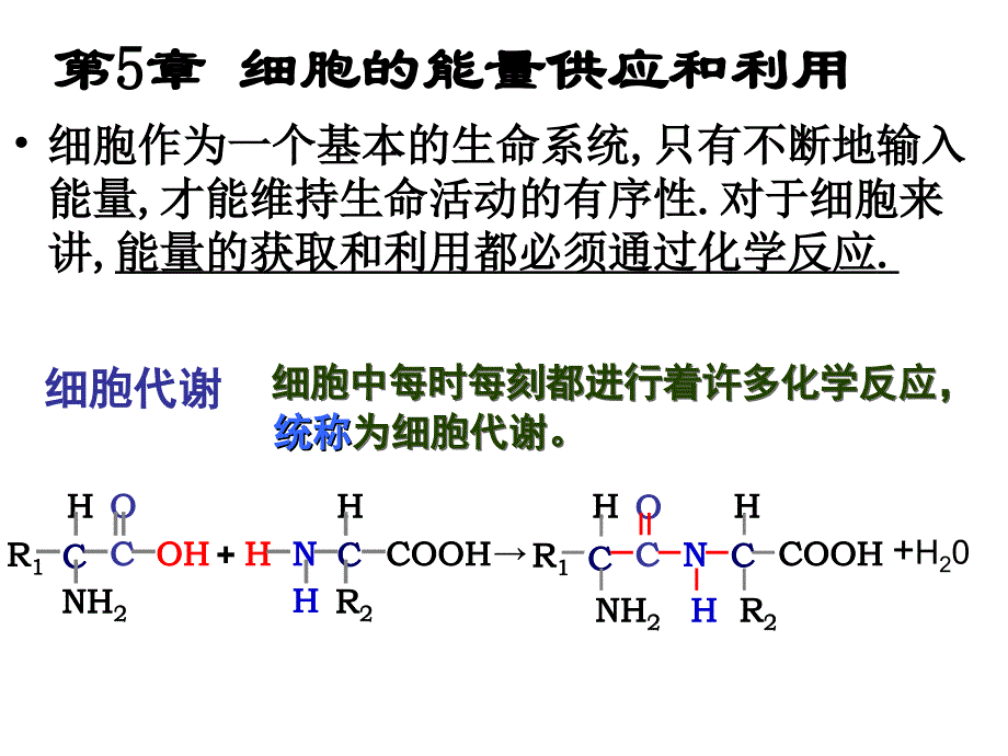 降低化学反应活化能的酶（gu）_第1页