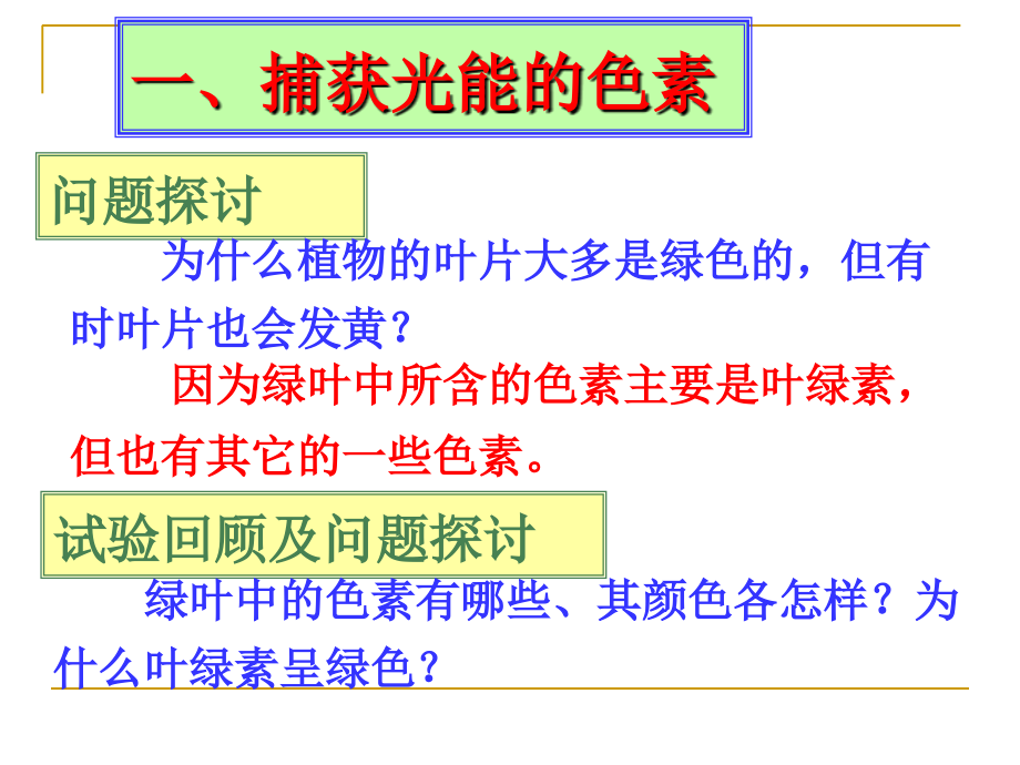 能量之源光与光合作用龚世胜98解析课件_第3页