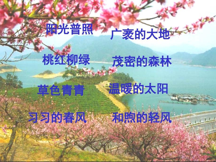 23《孔子游春》课件.ppt_第4页