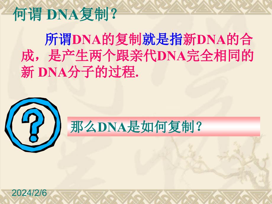 3.3《dna的复制》(含动画)+课件10+田聚财_第3页