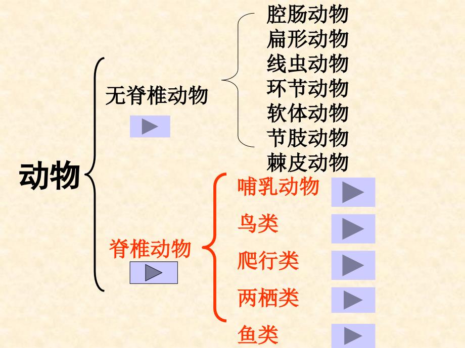 动物的主要类群_1_第3页