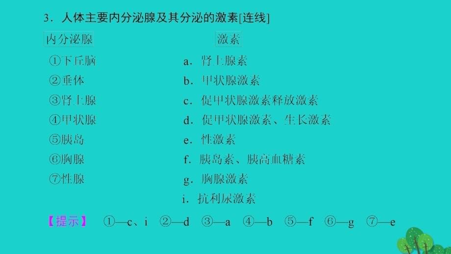 2016-2017学年高中生物第2章动物和人体生命活动的调节第2节通过激素的调节课件新人教版_第5页