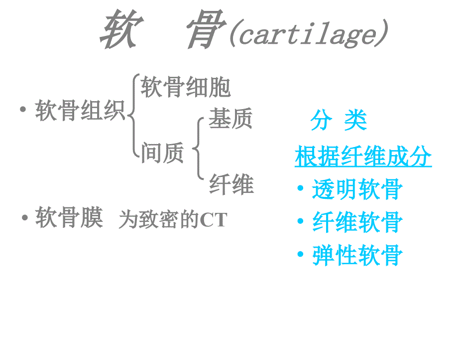 骨、软骨和血液_第2页