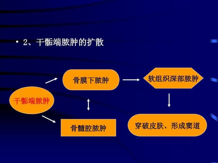 中医伤科学-化脓性骨髓炎课件_第5页