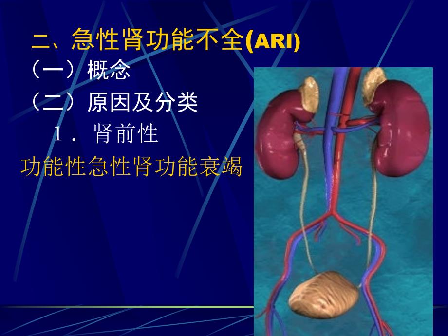 病理生理学-肾功能不全ppt课件_第3页