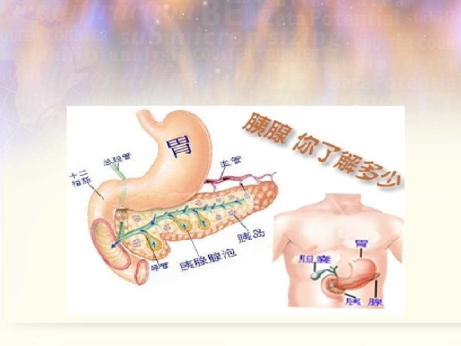 糖尿病(最终)课件_第4页