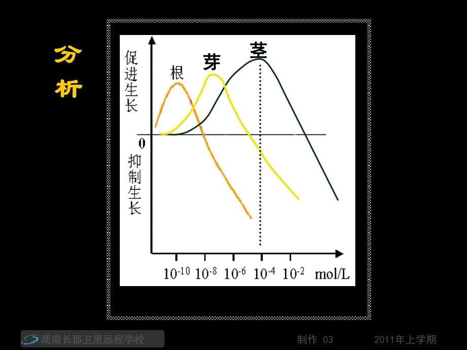 3.2《生长素的生理作用》+课件+关书胤_第5页