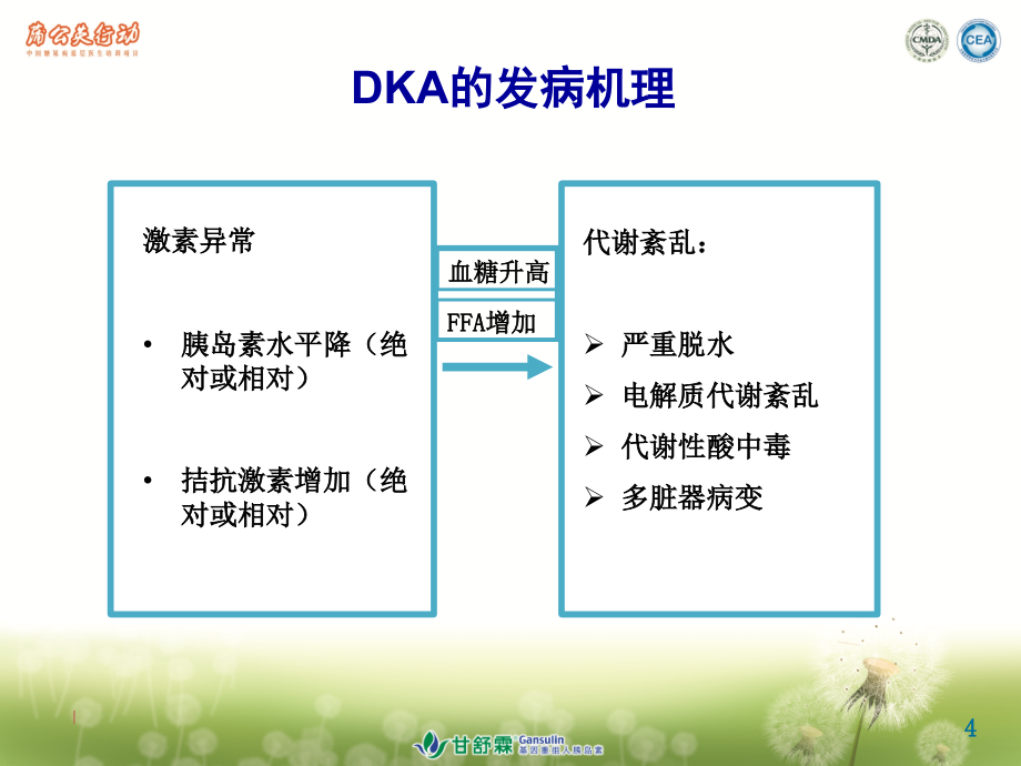 糖尿病急性并症2012_第4页