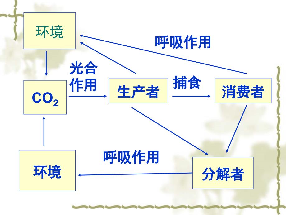 高中生物同步课件：5.3生态系统的物质循环(5)(人教版必修3)_第4页