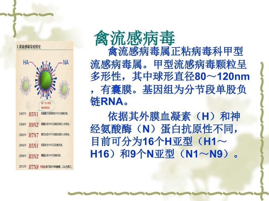 2014人感染h7n9禽流感课件_第5页