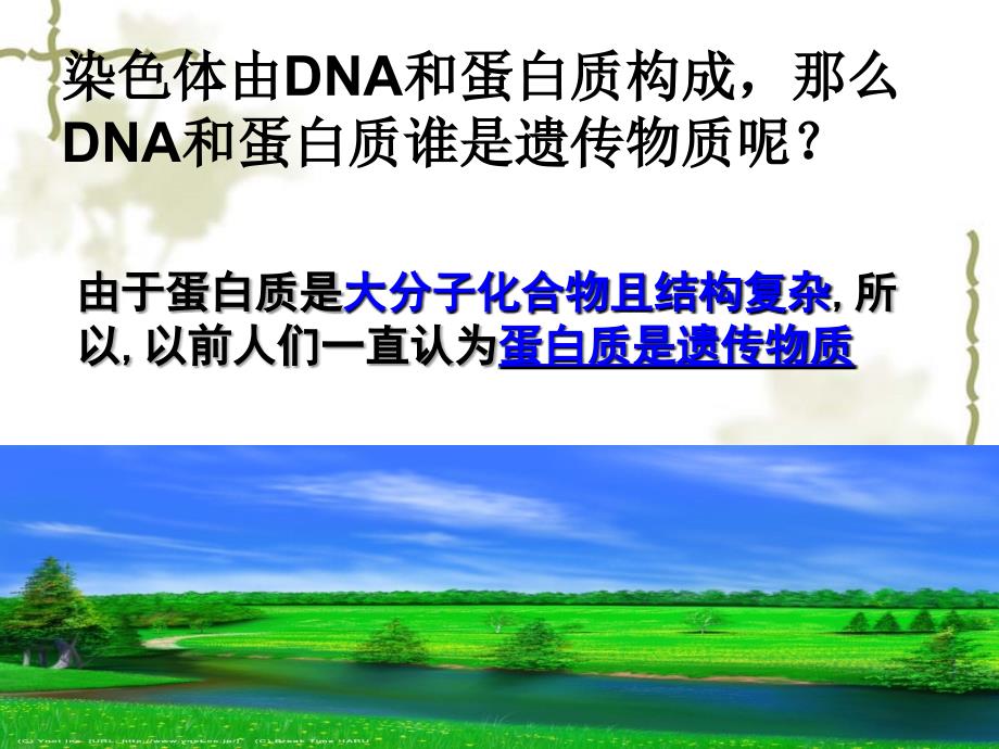 dna是主要遗传物质自编课件(2013)_第3页