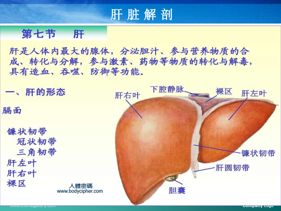 肝破裂护理查房4_第4页