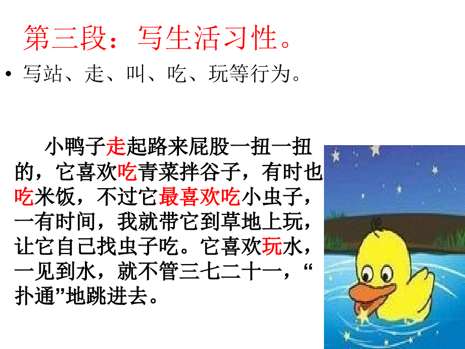 《可爱的小鸭子》小学课文分段讲解_第3页