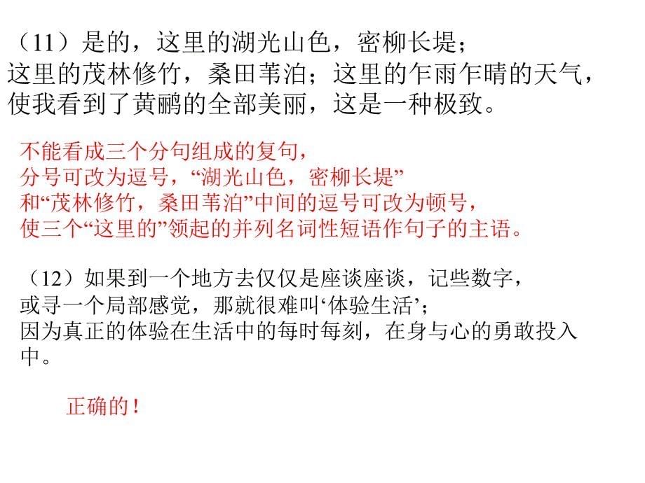 语文标点符号之分号使用的语法巩固练习_第5页