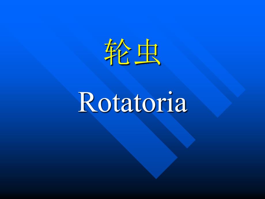 轮虫 rotatoria_第1页