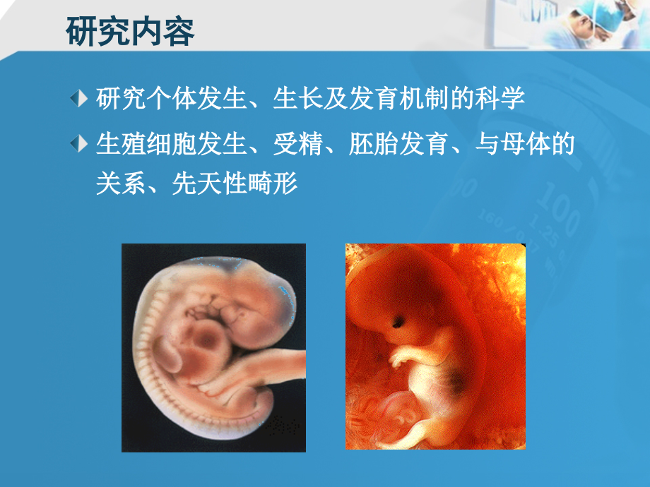 胚胎学绪论21人胚早期发生_第2页
