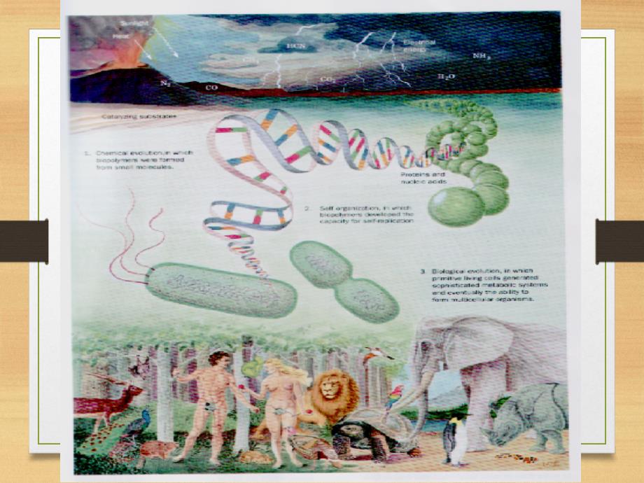 绪论生物化学简明教程_第4页