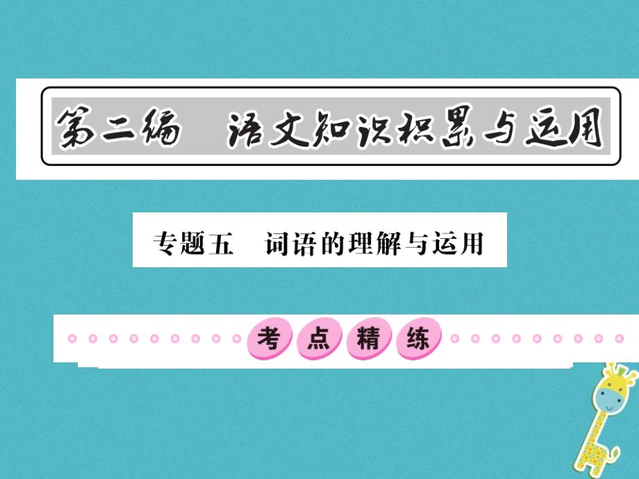 2018中考语文总复习第2编语文知识积累与运用专题五词语的理解与运用考点精练语文版_第1页