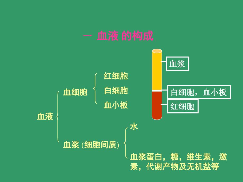 血液blood--组织学和胚胎学_第3页