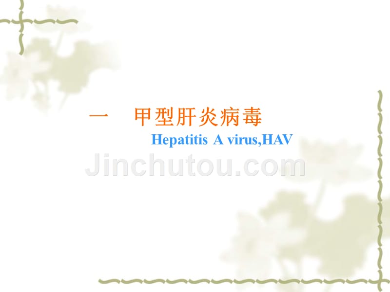 肝炎病毒----2011基概_第4页